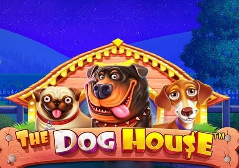 The dog house megaways bonus